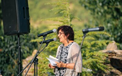 Els festivals de Dansàneu i FiraTàrrega, i unes engrunes de poesia